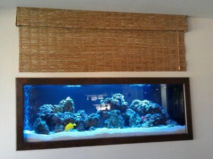 140 gallons reef tank (mostly live coral and fish) - 125 Gallon Saltwater Tank by Sunset Aquatics 140 gallons reef tank (mostly live coral and fish) - 125 Gallon Saltwater Tank by Sunset Aquatics