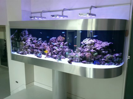 300 gallons reef tank (mostly live coral and fish) - Australian reef tank on pole support 300 gallons reef tank (mostly live coral and fish) - Australian reef tank on pole support