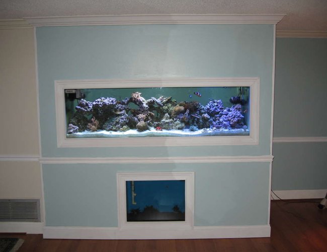 160 gallons reef tank (mostly live coral and fish) - Full view if my 125 inwall with a 55 gallon sump/and 27 gallon refugium viewable 160 gallons reef tank (mostly live coral and fish) - Full view if my 125 inwall with a 55 gallon sump/and 27 gallon refugium viewable