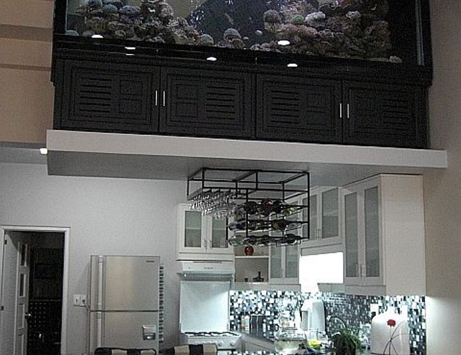 700 gallons reef tank (mostly live coral and fish) - Yes...that is a 700 Gallon tank on that little ledge above the kitchen. 4 tonnes of weight (glass, rock, coral, filter coral, water, etc...) right there. Dont worry, even though the house was designed with no center walls or pillars, it was built with a skeleton framework to hold all that weight right there. Instead of a boring wall to divide the floors, this fish tank does the trick nicely. 700 gallons reef tank (mostly live coral and fish) - Yes...that is a 700 Gallon tank on that little ledge above the kitchen. 4 tonnes of weight (glass, rock, coral, filter coral, water, etc...) right there. Dont worry, even though the house was designed with no center walls or pillars, it was built with a skeleton framework to hold all that weight right there. Instead of a boring wall to divide the floors, this fish tank does the trick nicely.