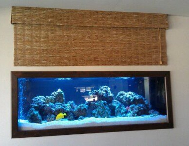 140 gallons reef tank (mostly live coral and fish) - 125 Gallon Saltwater Tank by Sunset Aquatics 140 gallons reef tank (mostly live coral and fish) - 125 Gallon Saltwater Tank by Sunset Aquatics