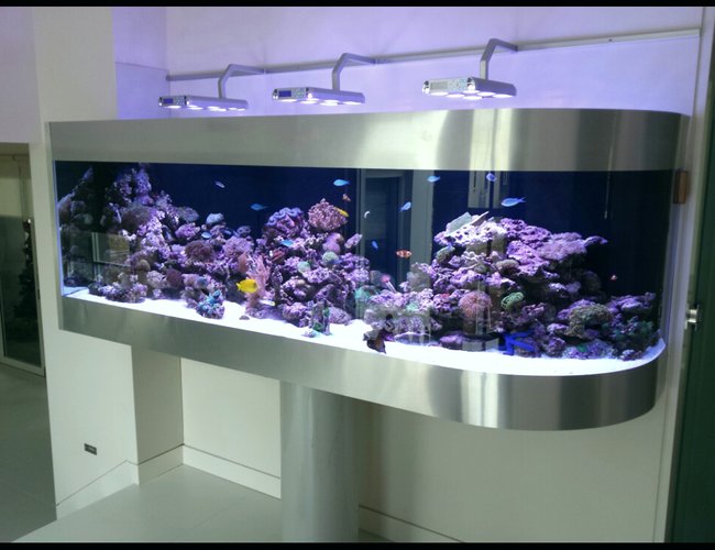 300 gallons reef tank (mostly live coral and fish) - Australian reef tank on pole support 300 gallons reef tank (mostly live coral and fish) - Australian reef tank on pole support