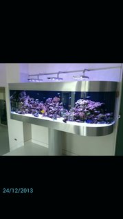 Rated #2: 300 Gallons Reef Tank - Australian reef tank on pole support Rated #2: 300 Gallons Reef Tank - Australian reef tank on pole support