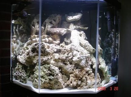 45 gallons saltwater fish tank (mostly fish, little/no live coral) - 70 lbs rock curing 45 gallons saltwater fish tank (mostly fish, little/no live coral) - 70 lbs rock curing