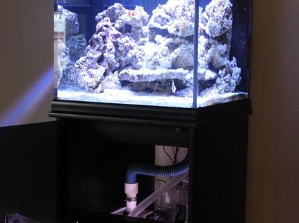 Rated #7: 35 Gallons Saltwater Fish Tank - front view Rated #7: 35 Gallons Saltwater Fish Tank - front view