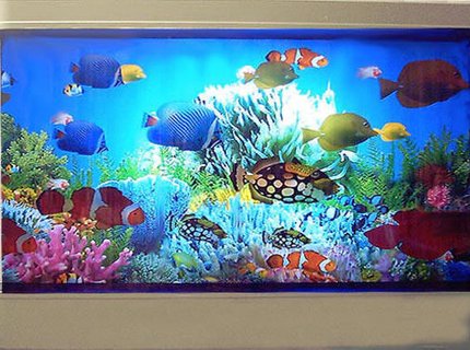 5 gallons saltwater fish tank (mostly fish, little/no live coral) - my fish 5 gallons saltwater fish tank (mostly fish, little/no live coral) - my fish