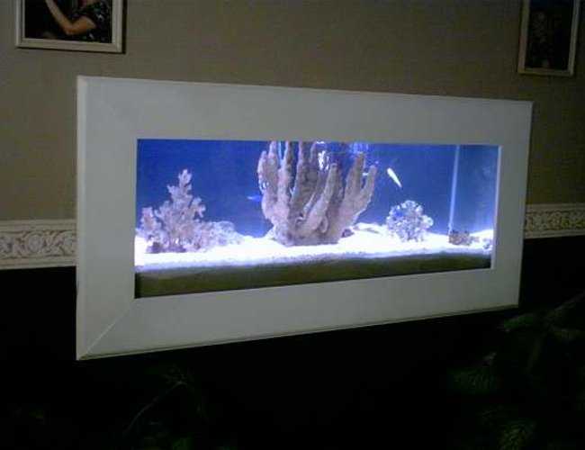 saltwater fish tank (mostly fish, little/no live coral) saltwater fish tank (mostly fish, little/no live coral)