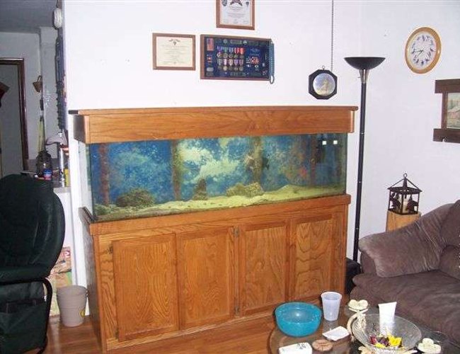 125 gallons saltwater fish tank (mostly fish, little/no live coral) - Finally got it. 125gal 125 gallons saltwater fish tank (mostly fish, little/no live coral) - Finally got it. 125gal