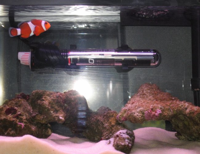 3 gallons saltwater fish tank (mostly fish, little/no live coral) - my mini saltwater aquarium 3 gallons saltwater fish tank (mostly fish, little/no live coral) - my mini saltwater aquarium