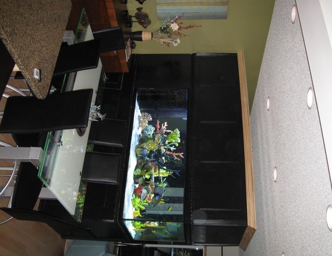350 gallons saltwater fish tank (mostly fish, little/no live coral) - 350 Gallon Tank, divides our Dining Room from Our Living Room.... I couldn't live without it!!!! 350 gallons saltwater fish tank (mostly fish, little/no live coral) - 350 Gallon Tank, divides our Dining Room from Our Living Room.... I couldn't live without it!!!!