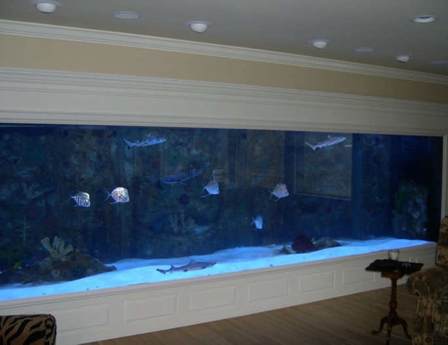 4000 gallons saltwater fish tank (mostly fish, little/no live coral) - my 4000 gallon tank 4000 gallons saltwater fish tank (mostly fish, little/no live coral) - my 4000 gallon tank