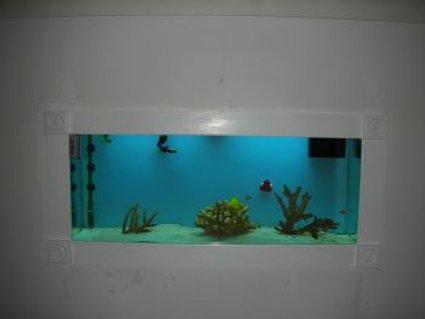 Rated #53: 55 Gallons Saltwater Fish Tank - same tank during the day Rated #53: 55 Gallons Saltwater Fish Tank - same tank during the day
