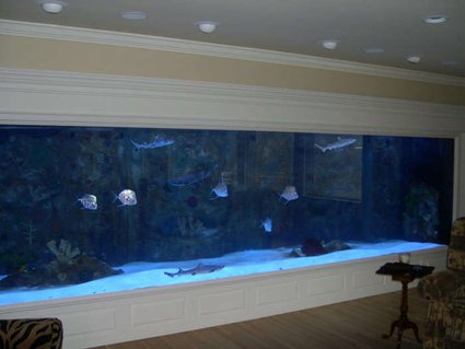 Rated #4: 4000 Gallons Saltwater Fish Tank - my 4000 gallon tank Rated #4: 4000 Gallons Saltwater Fish Tank - my 4000 gallon tank