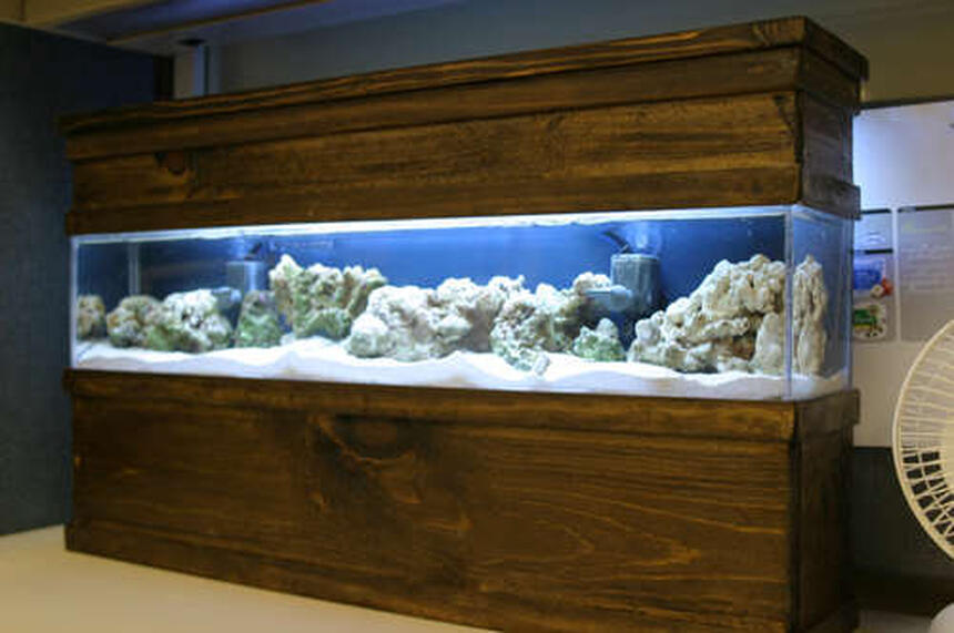 Rated #57: Saltwater Fish Tank - Updated photo of my DIY 5 gallon tank Rated #57: Saltwater Fish Tank - Updated photo of my DIY 5 gallon tank