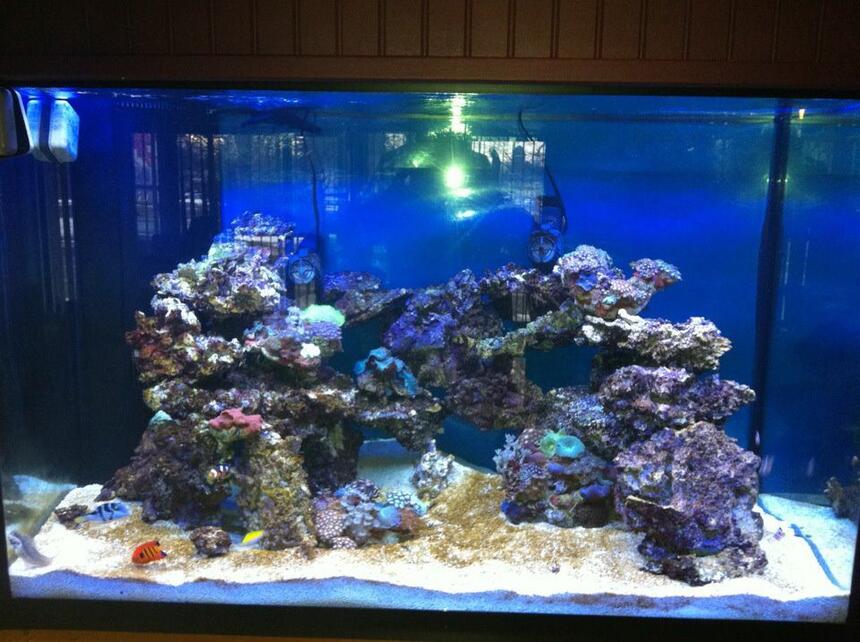 Rated #54: 10000 Gallons Saltwater Fish Tank - tank Rated #54: 10000 Gallons Saltwater Fish Tank - tank