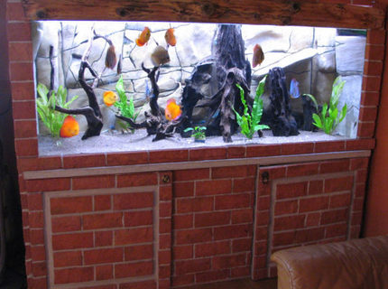 127 gallons freshwater fish tank (mostly fish and non-living decorations) - My 480 litres tank with 11 Discus fishes. 127 gallons freshwater fish tank (mostly fish and non-living decorations) - My 480 litres tank with 11 Discus fishes.