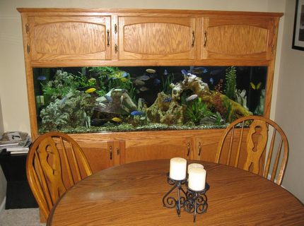 Rated #6: 125 Gallons Freshwater Fish Tank - Full Tank Shot Rated #6: 125 Gallons Freshwater Fish Tank - Full Tank Shot
