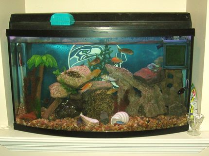 45 gallons freshwater fish tank (mostly fish and non-living decorations) - my tank located in the nook above my gas fireplace insert in the livingroom. GO SEAHAWKS!!! 45 gallons freshwater fish tank (mostly fish and non-living decorations) - my tank located in the nook above my gas fireplace insert in the livingroom. GO SEAHAWKS!!!