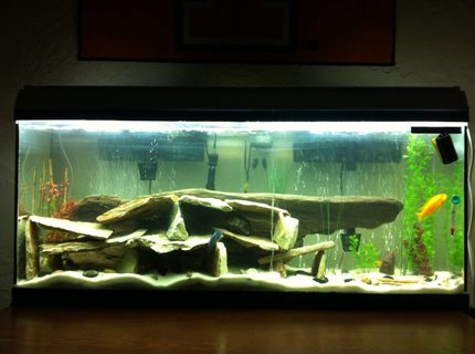 Rated #62: 55 Gallons Freshwater Fish Tank - new setup for my 55 gallon. lots of river rock with a large piece of driftwood in the background for decor. Rated #62: 55 Gallons Freshwater Fish Tank - new setup for my 55 gallon. lots of river rock with a large piece of driftwood in the background for decor.