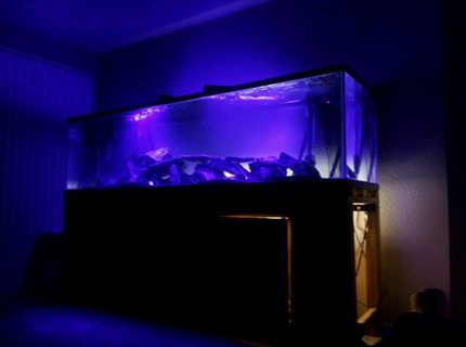 240 gallons freshwater fish tank (mostly fish and non-living decorations) - 240 Gallon Burundi Tank 240 gallons freshwater fish tank (mostly fish and non-living decorations) - 240 Gallon Burundi Tank