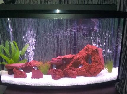 45 gallons freshwater fish tank (mostly fish and non-living decorations) - 45 gallon with africans cichlids 45 gallons freshwater fish tank (mostly fish and non-living decorations) - 45 gallon with africans cichlids