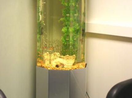 20 gallons freshwater fish tank (mostly fish and non-living decorations) - 20 gallon column. plastic plants and real river rock in back corner. 20 gallons freshwater fish tank (mostly fish and non-living decorations) - 20 gallon column. plastic plants and real river rock in back corner.
