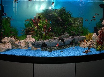 165 gallons freshwater fish tank (mostly fish and non-living decorations) - 70 Gal Community tank 165 gallons freshwater fish tank (mostly fish and non-living decorations) - 70 Gal Community tank