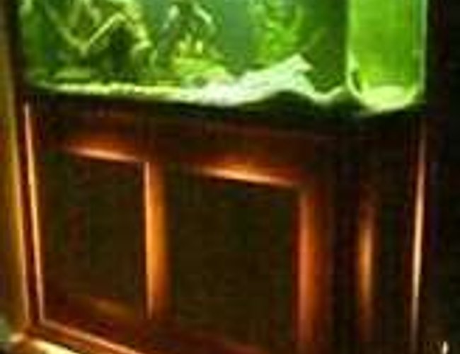 120 gallons freshwater fish tank (mostly fish and non-living decorations) - 120 gallon tank custom stand 120 gallons freshwater fish tank (mostly fish and non-living decorations) - 120 gallon tank custom stand
