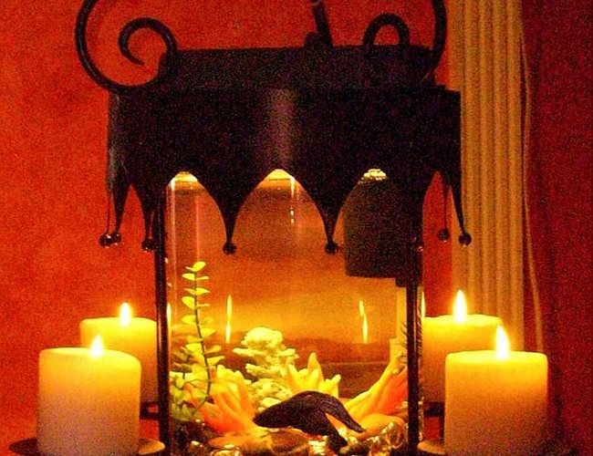 2 gallons freshwater fish tank (mostly fish and non-living decorations) - HANGING FISH TANK CANDELABRA 2 gallons freshwater fish tank (mostly fish and non-living decorations) - HANGING FISH TANK CANDELABRA