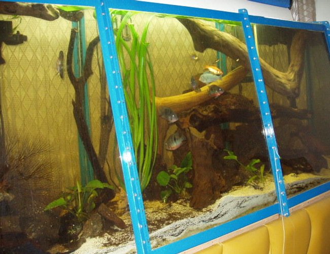230 gallons freshwater fish tank (mostly fish and non-living decorations) - about a 100 lbs of crushed coral and aragonite works ok , i dont have co2 injection , ,i just add because of evaporation about 7 gal a week during the summer ,the waste builds up around the roots of the plants and they seem to thrive lots of driftwood from the ocean seems to help stabilize the water conditions also has quite a bit of salt ,always good, 230 gallons freshwater fish tank (mostly fish and non-living decorations) - about a 100 lbs of crushed coral and aragonite works ok , i dont have co2 injection , ,i just add because of evaporation about 7 gal a week during the summer ,the waste builds up around the roots of the plants and they seem to thrive lots of driftwood from the ocean seems to help stabilize the water conditions also has quite a bit of salt ,always good,
