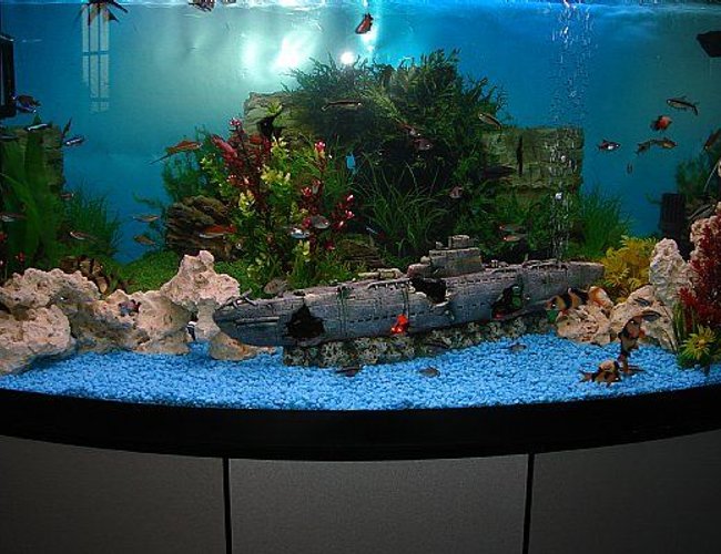165 gallons freshwater fish tank (mostly fish and non-living decorations) - 70 Gal Community tank 165 gallons freshwater fish tank (mostly fish and non-living decorations) - 70 Gal Community tank