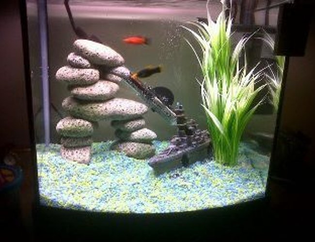 28 gallons freshwater fish tank (mostly fish and non-living decorations) - My New Tank with two Plattys 28 gallons freshwater fish tank (mostly fish and non-living decorations) - My New Tank with two Plattys