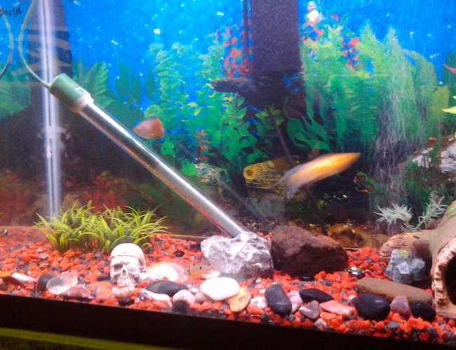 70 gallons freshwater fish tank (mostly fish and non-living decorations) - Left 70 gallons freshwater fish tank (mostly fish and non-living decorations) - Left