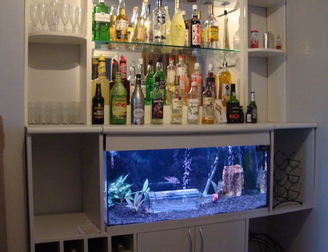 46 gallons freshwater fish tank (mostly fish and non-living decorations) - Fish tank built into bar - filters etc hidden in cupboard underneath 46 gallons freshwater fish tank (mostly fish and non-living decorations) - Fish tank built into bar - filters etc hidden in cupboard underneath