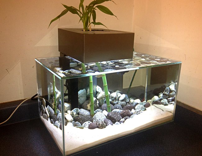 6 gallons freshwater fish tank (mostly fish and non-living decorations) - fluval 6 gallon 6 gallons freshwater fish tank (mostly fish and non-living decorations) - fluval 6 gallon