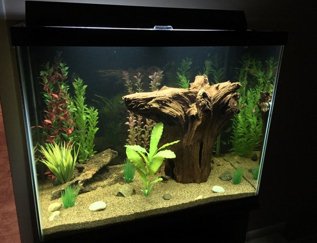 56 gallons freshwater fish tank (mostly fish and non-living decorations) - 56 gallon freshwater. 56 gallons freshwater fish tank (mostly fish and non-living decorations) - 56 gallon freshwater.