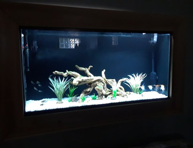 100 gallons freshwater fish tank (mostly fish and non-living decorations) - 60 gallon wall tank 100 gallons freshwater fish tank (mostly fish and non-living decorations) - 60 gallon wall tank
