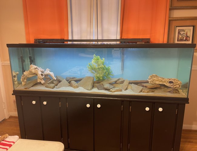 106 gallons freshwater fish tank (mostly fish and non-living decorations) - Waiting on fish 106 gallons freshwater fish tank (mostly fish and non-living decorations) - Waiting on fish