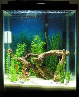Rated #86: 37 Gallons Freshwater Fish Tank - Marineland 37 gallon tank with stand powered by a Penguin 200 Bio-Wheel power filter. The water is heated by a 150 watt Visi-Therm submersible heater. Tank is new and is currently undergoing the initial cycle stage. Rated #86: 37 Gallons Freshwater Fish Tank - Marineland 37 gallon tank with stand powered by a Penguin 200 Bio-Wheel power filter. The water is heated by a 150 watt Visi-Therm submersible heater. Tank is new and is currently undergoing the initial cycle stage.