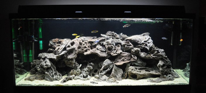 Rated #58: 120 Gallons Freshwater Fish Tank - My 120 gallon Mixed African Tank... Rated #58: 120 Gallons Freshwater Fish Tank - My 120 gallon Mixed African Tank...