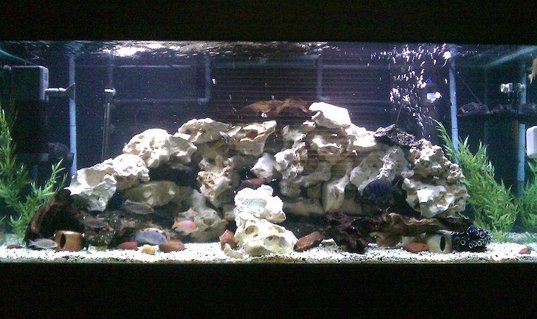 Rated #56: 150 Gallons Freshwater Fish Tank - Same tank, but replace 110 lbs of lava rock withe 110 lbs of Texas holey rock. And put 2 wavemaker for extra current Rated #56: 150 Gallons Freshwater Fish Tank - Same tank, but replace 110 lbs of lava rock withe 110 lbs of Texas holey rock. And put 2 wavemaker for extra current