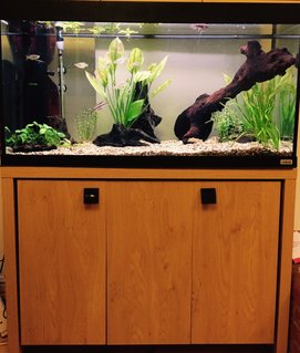 Rated #16: 50 Gallons Freshwater Fish Tank - Fluval Roma 200 Rated #16: 50 Gallons Freshwater Fish Tank - Fluval Roma 200