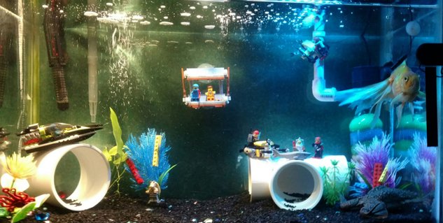 Rated #77: 30 Gallons Freshwater Fish Tank - Lego City Aquarium. Rated #77: 30 Gallons Freshwater Fish Tank - Lego City Aquarium.