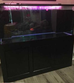 Rated #92: 280 Gallons Freshwater Fish Tank - 121 Rated #92: 280 Gallons Freshwater Fish Tank - 121