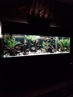 Rated #3: 125 Gallons Freshwater Fish Tank - 125 gallon Rated #3: 125 Gallons Freshwater Fish Tank - 125 gallon