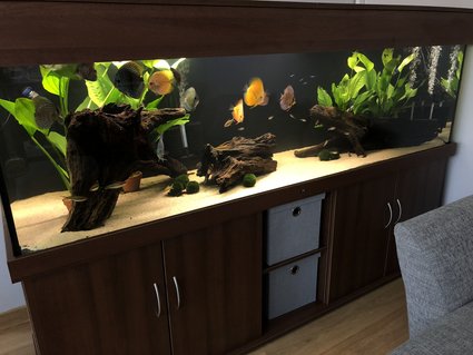 Rated #55: 210 Gallons Freshwater Fish Tank - New 7ft tank Rated #55: 210 Gallons Freshwater Fish Tank - New 7ft tank