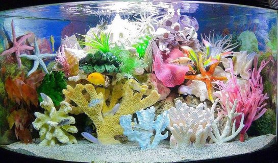 Rated #42: 120 Gallons Freshwater Fish Tank - Made believe sea tank Rated #42: 120 Gallons Freshwater Fish Tank - Made believe sea tank