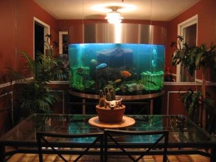 Rated #29: 144 Gallons Freshwater Fish Tank - 144 Gallon Semi Circle Rated #29: 144 Gallons Freshwater Fish Tank - 144 Gallon Semi Circle