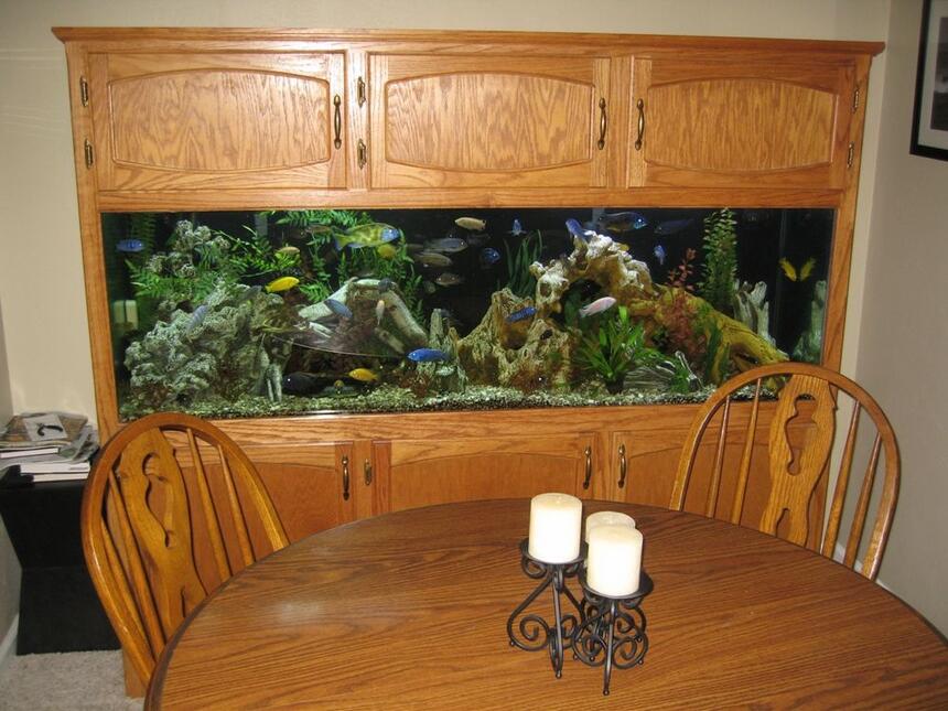 Rated #39: 125 Gallons Freshwater Fish Tank - Full Tank Shot Rated #39: 125 Gallons Freshwater Fish Tank - Full Tank Shot