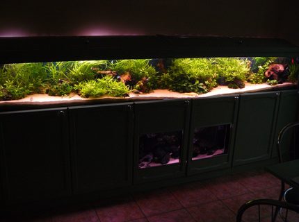90 gallons planted tank (mostly live plants and fish) - Front veiw of 10 foot tank. 90 gallons planted tank (mostly live plants and fish) - Front veiw of 10 foot tank.